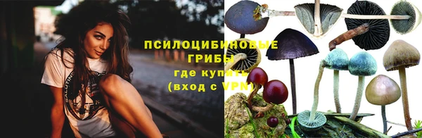 мдпв Семёнов